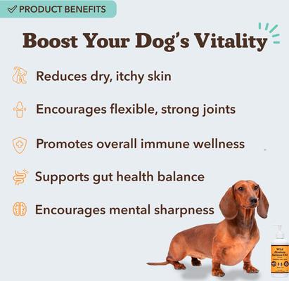 Natural Dog Company Wild Alaskan Salmon Oil Liquid Skin & Coat Supplement for Dogs