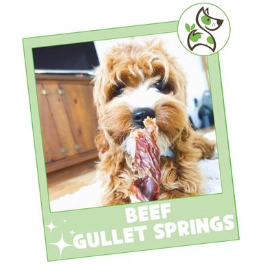Show full view: Nature Gnaws 7 to 8-in Beef Gullet Springs Natural Dog Chew Treats, 12 count slide 8 of 10