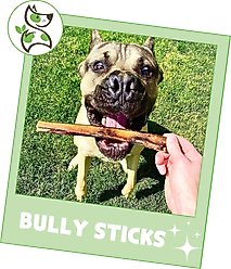 Nature Gnaws 5 to 6-in Beef Bully Sticks Dog Chew Treats, 8-oz bag slide 2 of 7