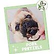 Show in main carousel: Nature Gnaws Pork Pretzel Natural Dog Chew Treats, 15 count slide 8 of 9
