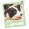 Show in main carousel: Nature Gnaws Antler Dog Chew Treats, 8-oz bag slide 8 of 9