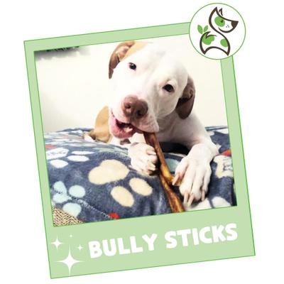 Show full view: Nature Gnaws 5 to 6-in Beef Bully Sticks Dog Chew Treats, 1-lb bag slide 8 of 10