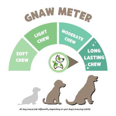 Show full view: Nature Gnaws Pig Ears Natural Dog Chew Treats, 15 count slide 4 of 9