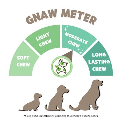 Show full view: Nature Gnaws Beef Trachea Crunch Wrap Dog Chew Treats, 3 count slide 4 of 8