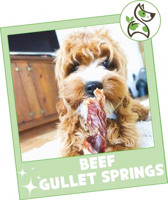 Show full view: Nature Gnaws 7 to 8-in Beef Gullet Springs Natural Dog Chew Treats, 6 count slide 8 of 10