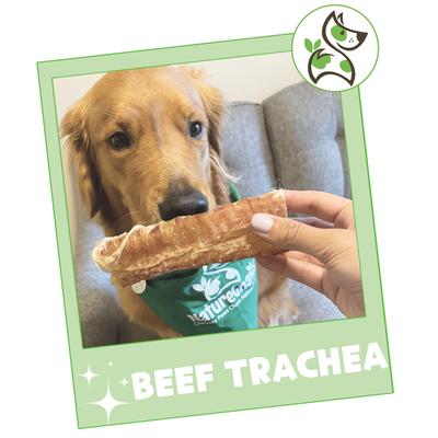 Show full view: Nature Gnaws 6-in Beef Trachea Dog Chew Treats, 6 count slide 8 of 9