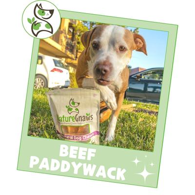 Show full view: Nature Gnaws 5 to 6-in Beef Paddywack Tendons Dog Chew Treats, 10 count slide 7 of 9