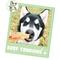 Show in main carousel: Nature Gnaws Beef Tendons Natural Dog Chew Treats, 1-lb bag slide 7 of 10