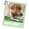 Show in main carousel: Nature Gnaws Antler Dog Chew Treats, 8-oz bag slide 7 of 9
