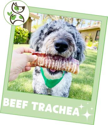 Show full view: Nature Gnaws 6-in Beef Trachea Dog Chew Treats, 6 count slide 7 of 9