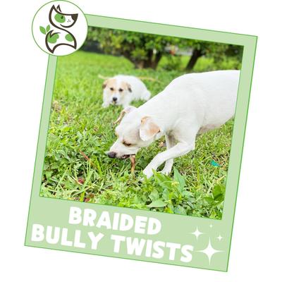 Show full view: Nature Gnaws 5 to 6-in Braided Bully Twists Natural Dog Chew Treats, 10 count slide 7 of 10