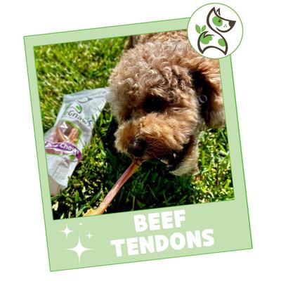 Show full view: Nature Gnaws 7 to 11-in Beef Tendon Chews Natural Dog Chew Treats, 12 count slide 8 of 9