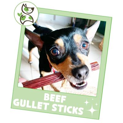 Show full view: Nature Gnaws 5 to 6-in Beef Gullet Sticks Natural Dog Chew Treats, 1-lb bag slide 7 of 11