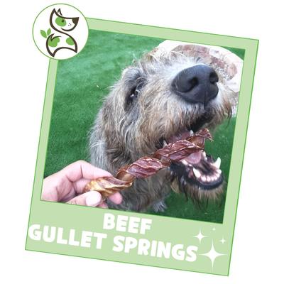 Show full view: Nature Gnaws 7 to 8-in Beef Gullet Springs Natural Dog Chew Treats, 6 count slide 7 of 10