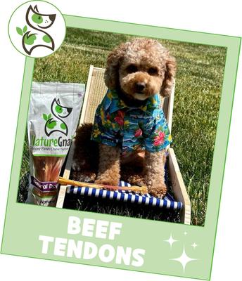 Show full view: Nature Gnaws 7 to 11-in Beef Tendon Chews Natural Dog Chew Treats, 12 count slide 7 of 9