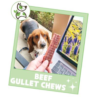 Show full view: Nature Gnaws 4 to 5-in Beef Gullet Natural Dog Chew Treats, 20 count slide 7 of 11