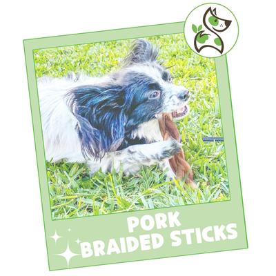 Show full view: Nature Gnaws 5 to 6-in Braided Pork Bully Sticks Dog Chew Treats, 20 count slide 8 of 9