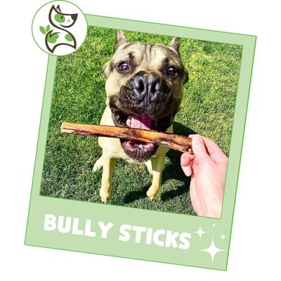 Show full view: Nature Gnaws 5 to 6-in Beef Bully Sticks Dog Chew Treats, 1-lb bag slide 7 of 10
