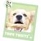 Show in main carousel: Nature Gnaws 4 to 5-in Beef Tripe Twists Natural Dog Chew Treats, 20 count slide 7 of 9