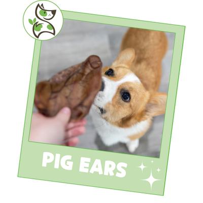 Show full view: Nature Gnaws Pig Ears Natural Dog Chew Treats, 15 count slide 7 of 9