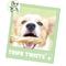 Show in main carousel: Nature Gnaws 4 to 5-in Beef Tripe Twists Natural Dog Chew Treats, 10 count slide 7 of 9
