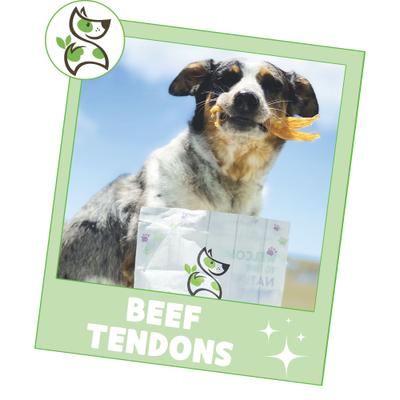 Show full view: Nature Gnaws 4 to 5-in Beef Tendon Natural Dog Chew Treats, 12 count slide 7 of 10