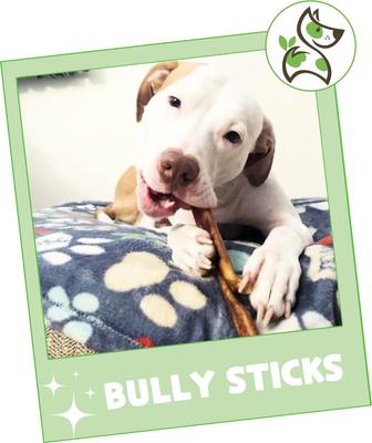 Show full view: Nature Gnaws 5 to 6-in Beef Bully Sticks Dog Chew Treats, 8-oz bag slide 8 of 10