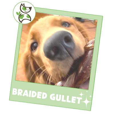 Show full view: Nature Gnaws 5 to 6-in Braided Gullet Sticks Natural Dog Chew Treats, 10 count slide 7 of 8