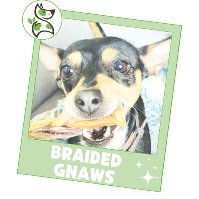 Show full view: Nature Gnaws 5 to 6-in Braided Gnaws Dog Chew Treats, 12 count slide 7 of 9