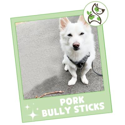 Show full view: Nature Gnaws 5 to 6-in Extra Thin Pork Bully Sticks Dog Chew Treats, 50 count slide 8 of 9