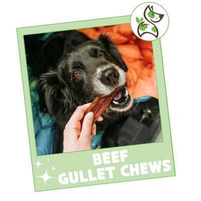 Show full view: Nature Gnaws 4 to 5-in Beef Gullet Natural Dog Chew Treats, 20 count slide 8 of 11