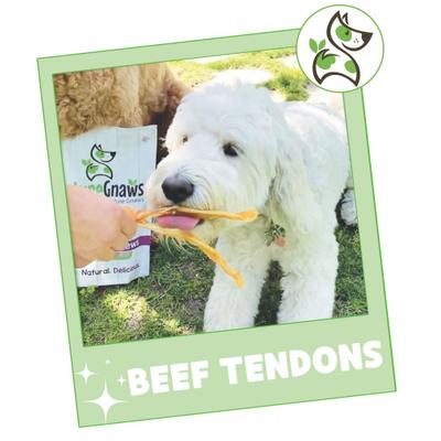 Show full view: Nature Gnaws Beef Tendons Natural Dog Chew Treats, 1-lb bag slide 8 of 10