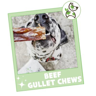 Show full view: Nature Gnaws 9 to 10-in Beef Gullet Natural Dog Chew Treats, 50 count slide 8 of 11