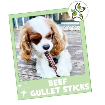 Show full view: Nature Gnaws 5 to 6-in Beef Gullet Sticks Natural Dog Chew Treats, 1-lb bag slide 8 of 11