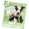 Show in main carousel: Nature Gnaws Dog Chew Variety Pack for Large Dogs, 12 count slide 7 of 9