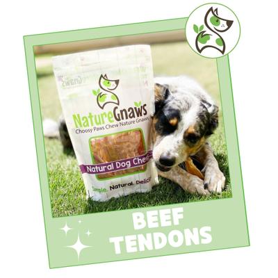 Show full view: Nature Gnaws 4 to 5-in Beef Tendon Natural Dog Chew Treats, 12 count slide 8 of 10