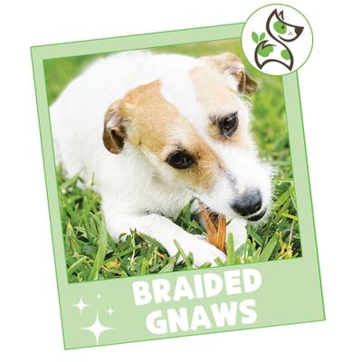 Show full view: Nature Gnaws 5 to 6-in Braided Gnaws Dog Chew Treats, 12 count slide 8 of 9