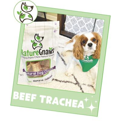 Show full view: Nature Gnaws 3-in Beef Trachea Dog Chew Treats, 12 count slide 7 of 9