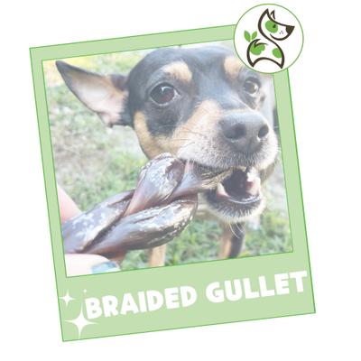 Show full view: Nature Gnaws 5 to 6-in Braided Gullet Sticks Natural Dog Chew Treats, 10 count slide 8 of 8