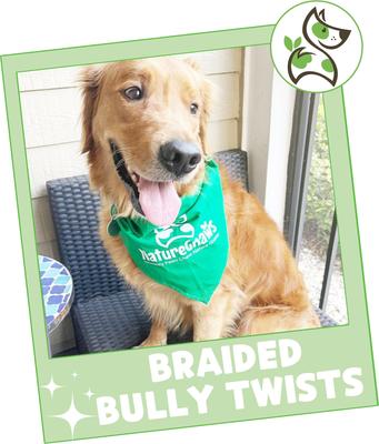 Show full view: Nature Gnaws 5 to 6-in Braided Bully Twists Natural Dog Chew Treats, 10 count slide 8 of 10