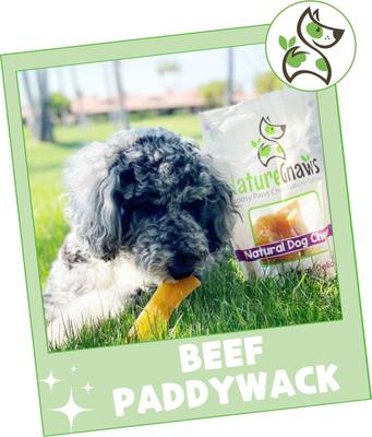 Show full view: Nature Gnaws 5 to 6-in Beef Paddywack Tendons Dog Chew Treats, 10 count slide 8 of 9