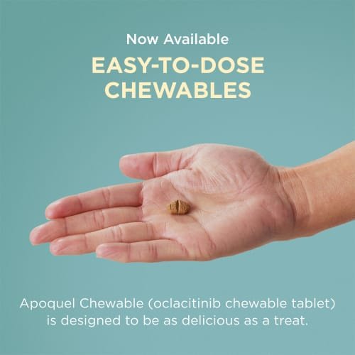 Apoquel (oclacitinib) Tablets for Dogs