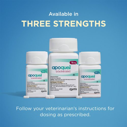 Apoquel (oclacitinib) Tablets for Dogs
