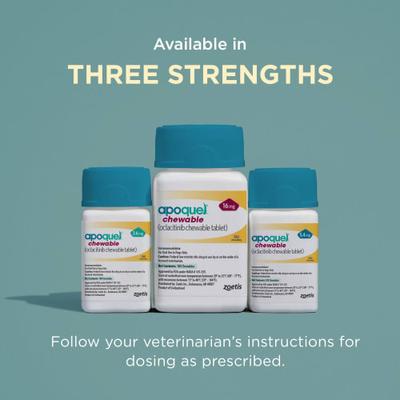 Show full view: Apoquel (oclacitinib chewable tablet) Chewable for Dogs, 16-mg, 120 tablets slide 8 of 11