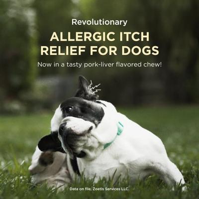 Apoquel (oclacitinib chewable tablet) Chewable for Dogs