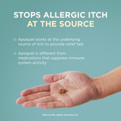 Show full view: Apoquel (oclacitinib chewable tablet) Chewable for Dogs, 16mg, 30 tablets slide 6 of 11