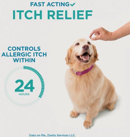 Apoquel (oclacitinib chewable tablet) Chewable for Dogs