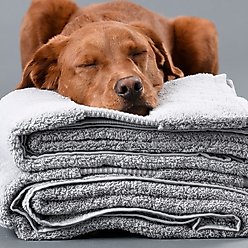 Delilah Home 100% Organic Cotton Sea Pines Kitchen Towels, Blue, 4 count slide 2 of 4