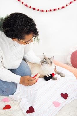 Show full view: Pearhead Cheese & Wine Plush, Crinkle & Catnip Cat Toys slide 2 of 5