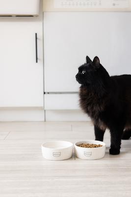 Show full view: Pearhead Meow Ceramic Cat Bowl, Small slide 6 of 9